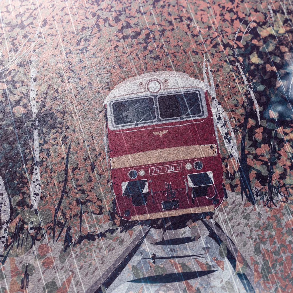 Brejloun v dešti – autorský tisk, vlak v dešti | A4, A3, A6