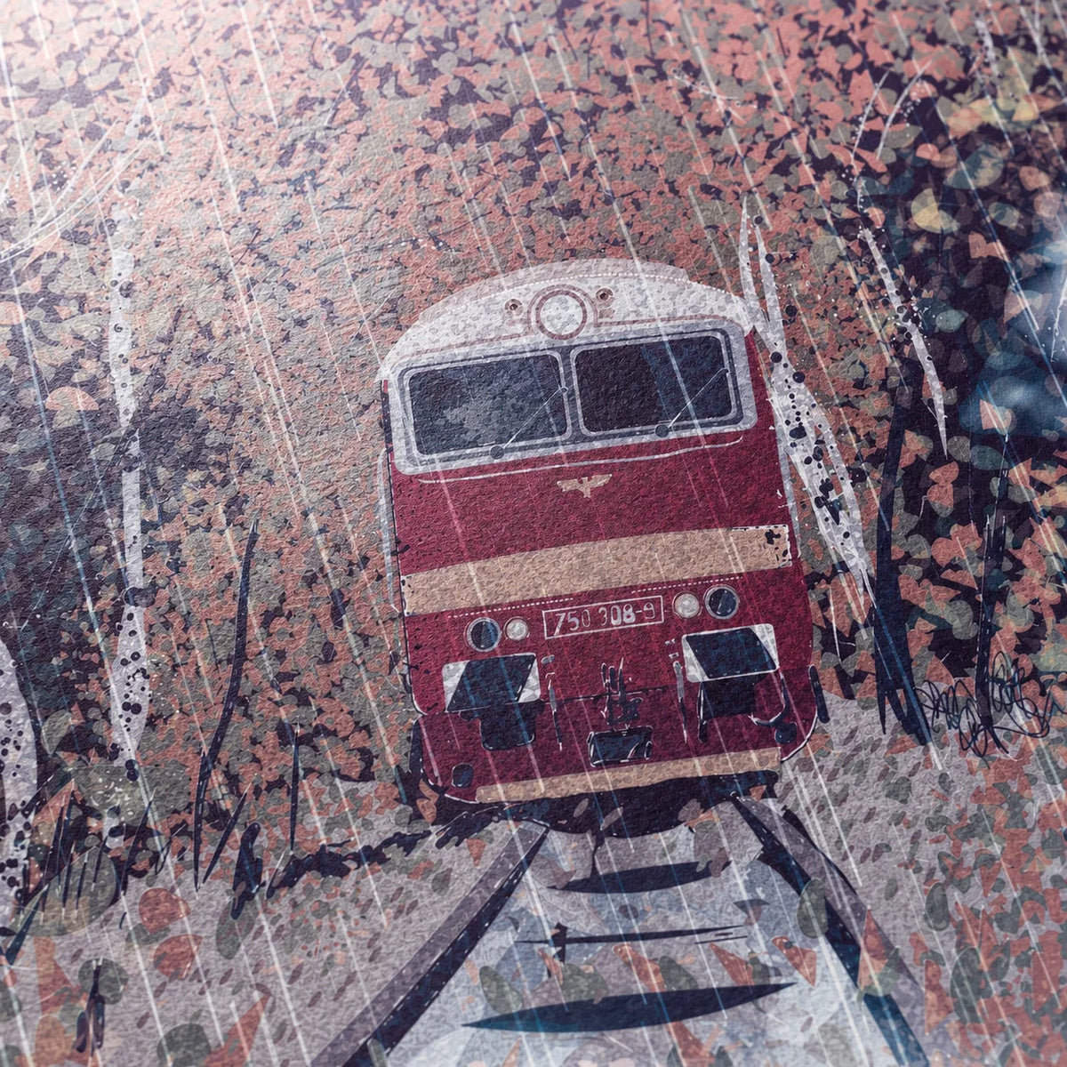 Brejloun v dešti – autorský tisk, vlak v dešti | A4, A3, A6